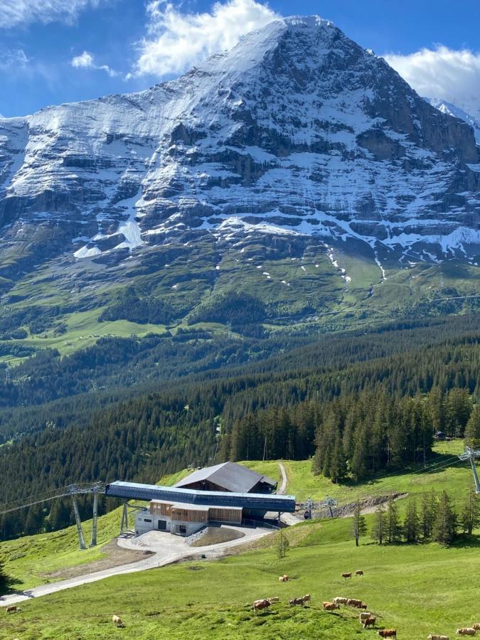 Chalet Herrschaft Grindelwald Exteriér fotografie