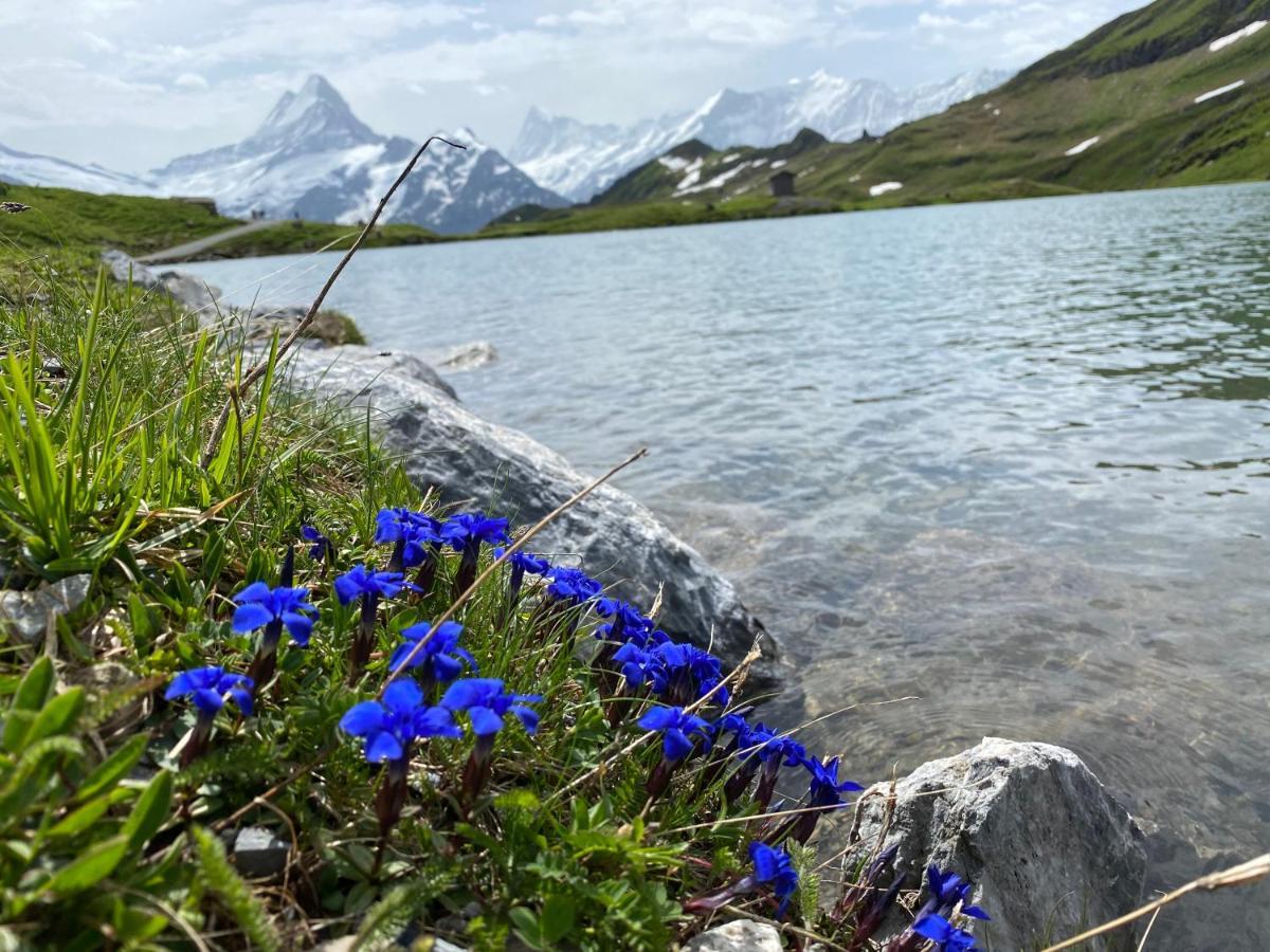 Chalet Herrschaft Grindelwald Exteriér fotografie