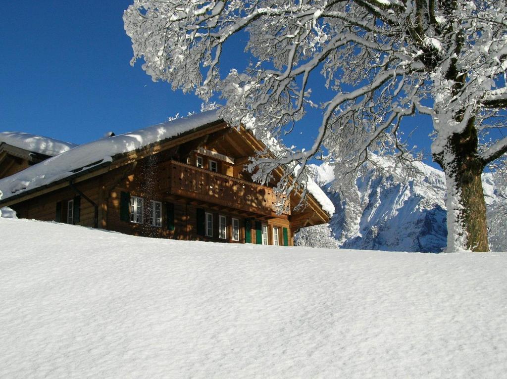 Chalet Herrschaft Grindelwald Exteriér fotografie