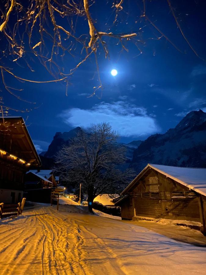 Chalet Herrschaft Grindelwald Exteriér fotografie